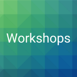 Workshops