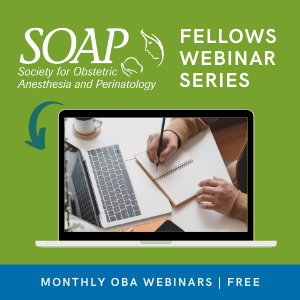 FellowsWebinarSeries