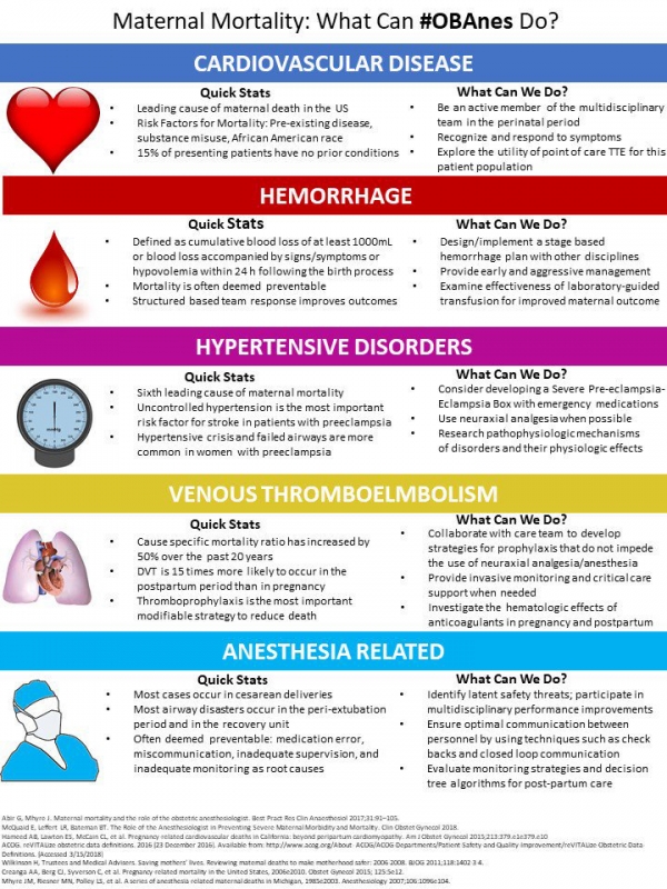 Maternal Mortality Infographic